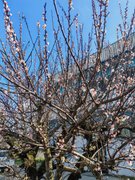 My Actifit Report Card: March 14 2026