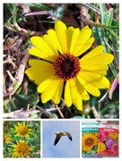 My Actifit Report Card: March 25 2026 - My Alive and Thriving Monday!