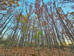 My Actifit Report Card: November 17 2025