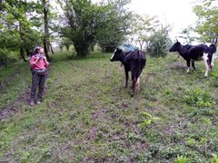 My Actifit Report Card: April 19 2025