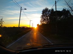 My Actifit Report Card: December 11 2019