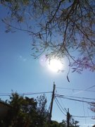 Mi informe de Actifit: marzo 5 2026