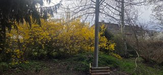 🚴‍♀️ A day full of movement and strength 💪🔥/🚴‍♀️ Dzień pełen ruchu i mocy 💪🔥
/My Actifit Report Card: April 2 2026