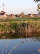 My Actifit Report Card: April 5 2026