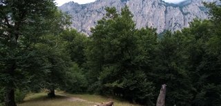 My Actifit Report Card: June 4 2025