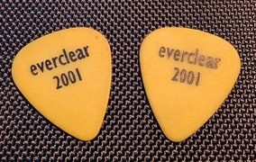 Everclear Guitar Picks! My Actifit Report Card: April 6 2026