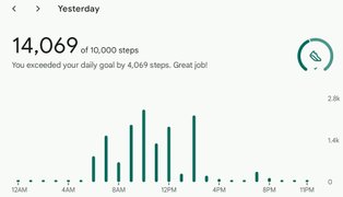 Funky Fitbit -- Actifit Report Card: June 29, 2025
