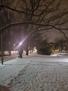 Snow ❄️ in Helsinki Finland 🇫🇮 