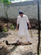 Physical activity in home.My Actifit Report Card: April 11 2026