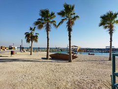 Beautiful Views And Sleepless Nights Make A Better Writer Actifit Report Card: February 27 2024