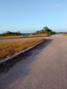 My Actifit Report Card: April 14 2026