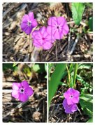 My Actifit Report Card: April 14 2026 - My Alive and Thriving Monday!