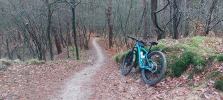 Starting with a bang - My Actifit Report Card: January 1 2026