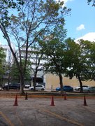 My Actifit Report Card: March 24 2026