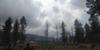 My Actifit Report Card: January 29 2024