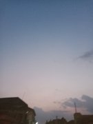 My Actifit Report Card: March 24 2026