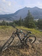 My Actifit Report Card: July 16 2025