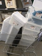 My Actifit Report Card: March 25 2026