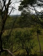 Foster to Fish Creek rail trail return with a side of mushrooms : March 19 2026
