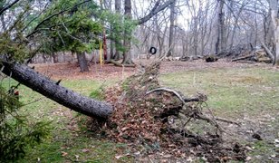 Actifit Report 300326 At the Market