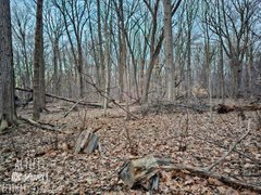 My Actifit Report Card: March 19 2026