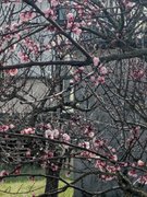 My Actifit Report Card: March 6 2026