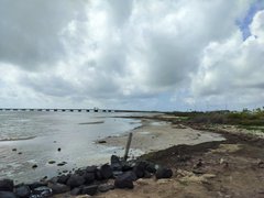 My Actifit Report Card: March 25 2026 - My Alive and Thriving Monday!