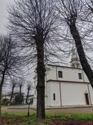 My Actifit Report Card: March 10 2026