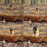 My Actifit Report Card: March 21 2026