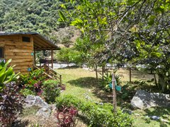 Chill over steps. My Actifit diary: April 2 2026