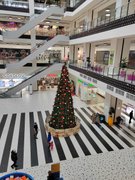 My Actifit Report Card of January 18, 2026: Quick Walk