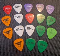 Barenaked Lady Guitar Picks My Actifit Report Card: March 14 2026