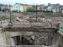 My Actifit Report Card: March 1 2026