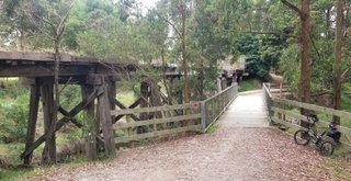 Foster to Fish Creek rail trail return with a side of mushrooms : March 19 2026