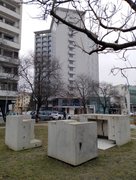 My Actifit Report Card: February 12 2026