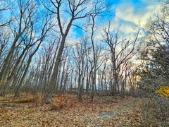 My Actifit Report Card: March 17 2026