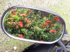 My Actifit Report Card: March 20 2026