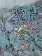 My Actifit Report Card: February 24 2026