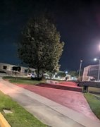 My Actifit Report Card: October 19 2025