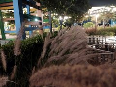 Photos, Book Progression And Busy week caelum1infernum Actifit Report Card: April 11 2024