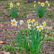 My Actifit Report Card: April 13 2026