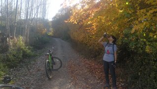 My Actifit Report Card: December 14 2025