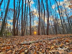 My Actifit Report Card: November 16 2025