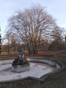 My Actifit Report Card: February 27 2026