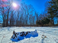 My Actifit Report Card: March 1 2026