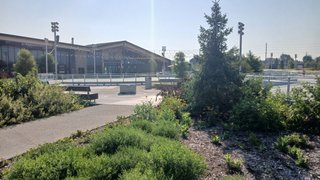 Actifit Report Card: 090825 Hanging Out