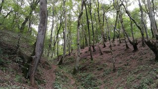 My Actifit Report Card: September 18 2025