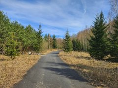 [EN/CZ] My Actifit Report Card: April 9 2026