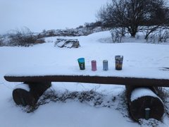 My Actifit Report Card: February 17 2026
