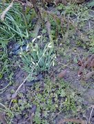 My Actifit Report Card: February 23 2026